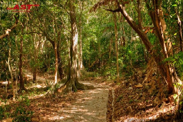 Kinh-nghiem-du-lich-Con-Dao